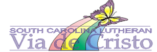 VDC logo